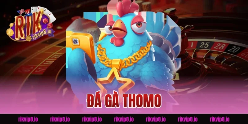 Đá Gà Thomo